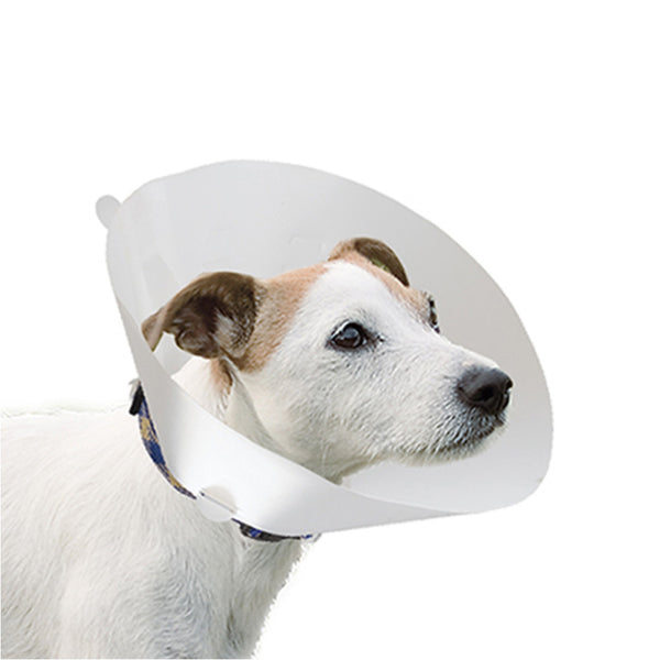 Collar Isabelino Gro 6005