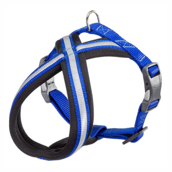 Pechera Perro Daytona Cross Azul - Sm | Accesorios | Marcapet