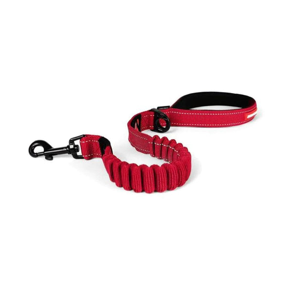 Correa Elastica | Accesorios | Marcapet