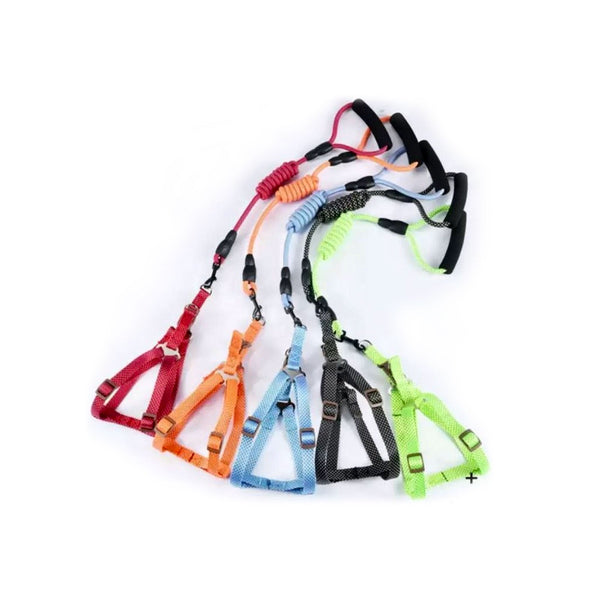 Correa Pechera 120 Cm | Accesorios | Marcapet