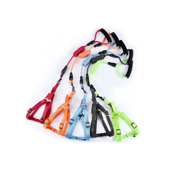 Correa Pechera 120 Cm | Accesorios | Marcapet