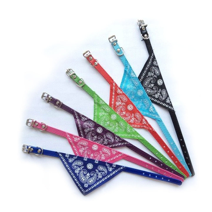 Collar Con Pañoleta Para Mascotas | Accesorios | Marcapet