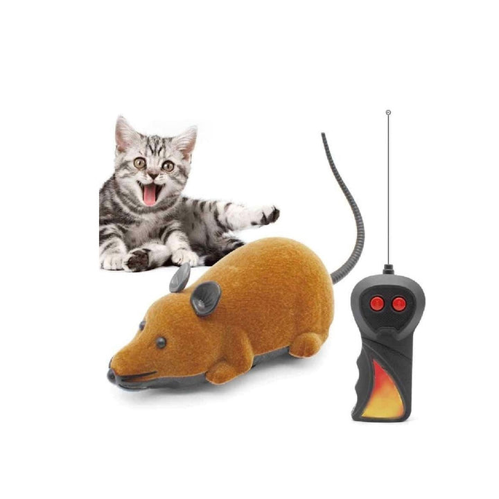 Juguete Para Gato Con Control | Accesorios Gatos | Marcapet