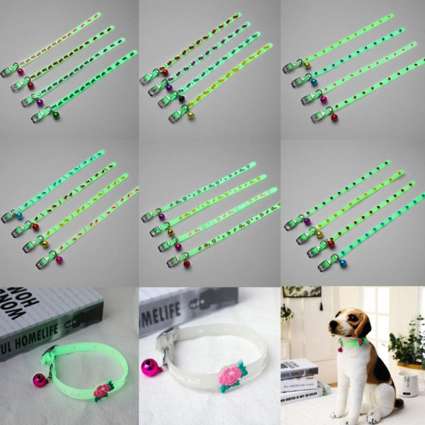 Collar Surtido #2 | Accesorios | Marcapet