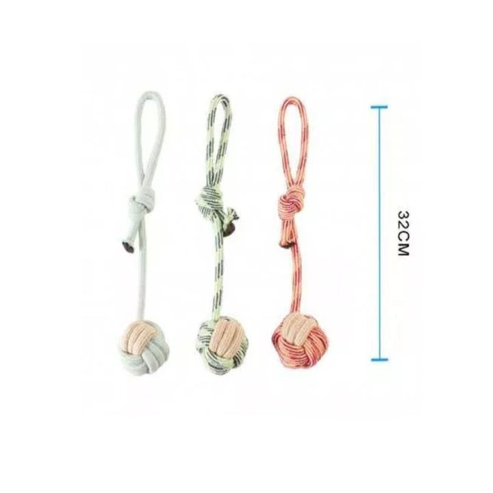 Rasca Encias para Perro un Lazo | Accesorios | Marcapet