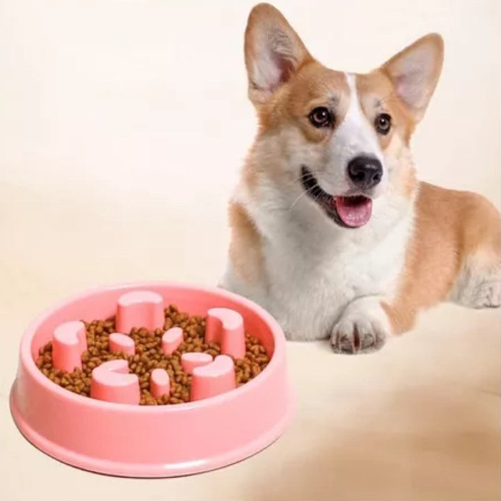 Comedero Antirreflujo multicolor | Accesorios | Marcapet