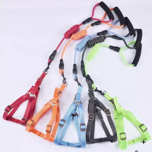 Correa Pechera Perro | Accesorios | Marcapet