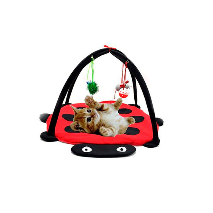 Cama Para Gato Con Accesorios | Accesorios | Marcapet