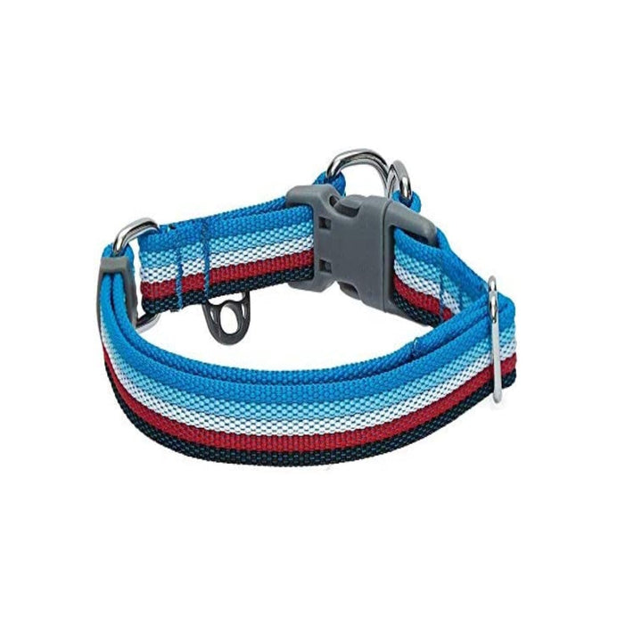Collar Para Perro X 50 Cm | Accesorios | Marcapet