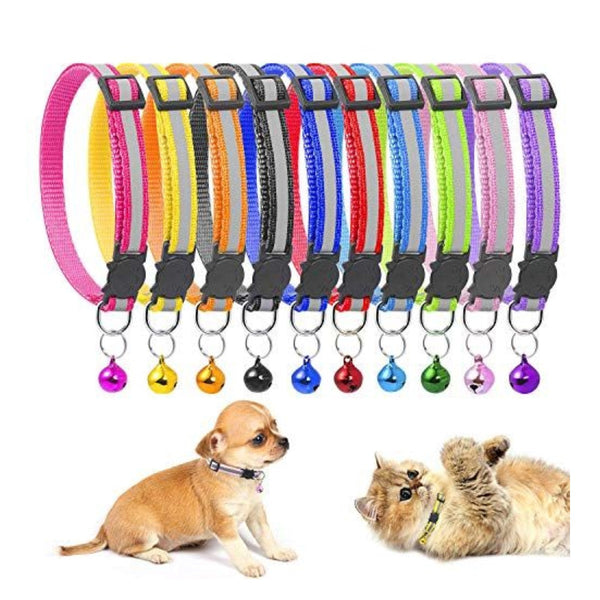 Collar Colores Reflectivos X Unidad | Accesorios | Marcapet