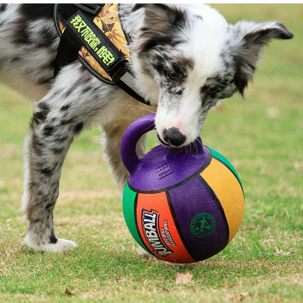 Pelota Jumball Basket S | Accesorios | Marcapet