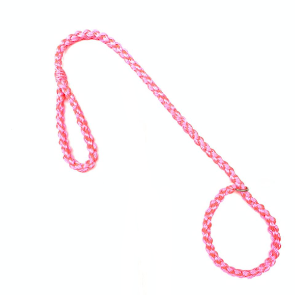 Correa Para Perro Al Torno Piola De Ahogo Surtido | Accesorios | Marcapet