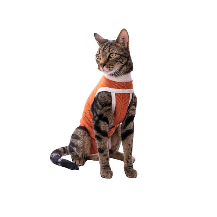 Faja Posquirurgico Para Mascotas Mini | Accesorios | Marcapet