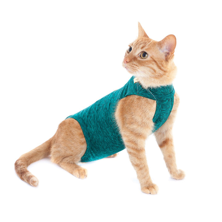 Faja Posquirurgico Para Mascotas XXS | Accesorios | Marcapet