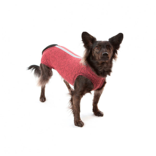 Faja Posquirurgico Para Mascotas XS | Accesorios | Marcapet