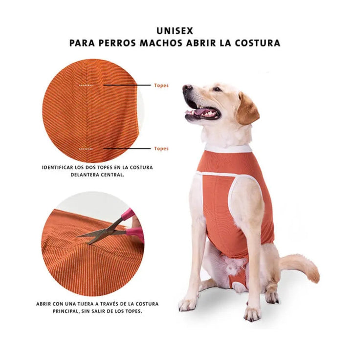 Faja Posquirurgico Para Mascotas XXXL | Accesorios | Marcapet