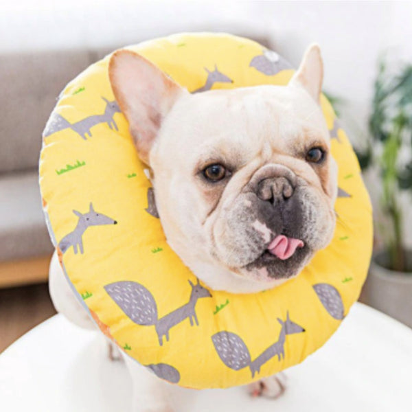 Collar Isabelino Para Perro y Gato Talla M | Accesorios | Marcapet