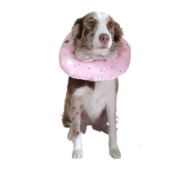 Collar Isabelino Para Perro Talla L | Accesorios | Marcapet