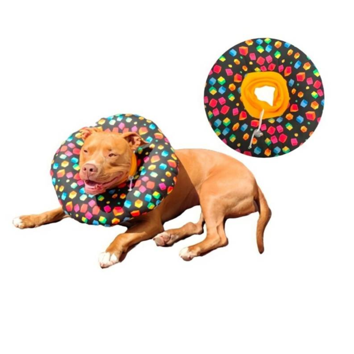 Collar Isabelino Para Perro Talla 2XL | Accesorios | Marcapet