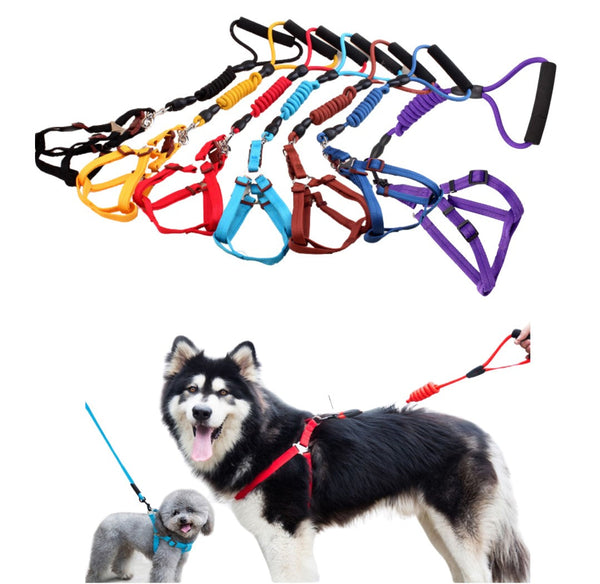 Arnés En H Con Correa Para Perro S | Accesorios | Marcapet