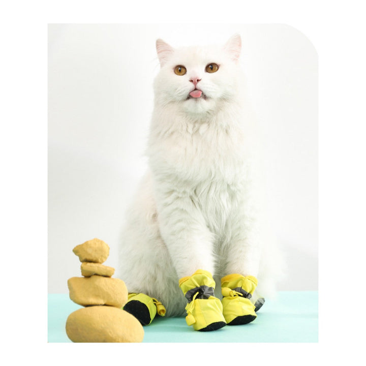 Botas Impermeables Multicolor # 2 | Accesorios | Marcapet