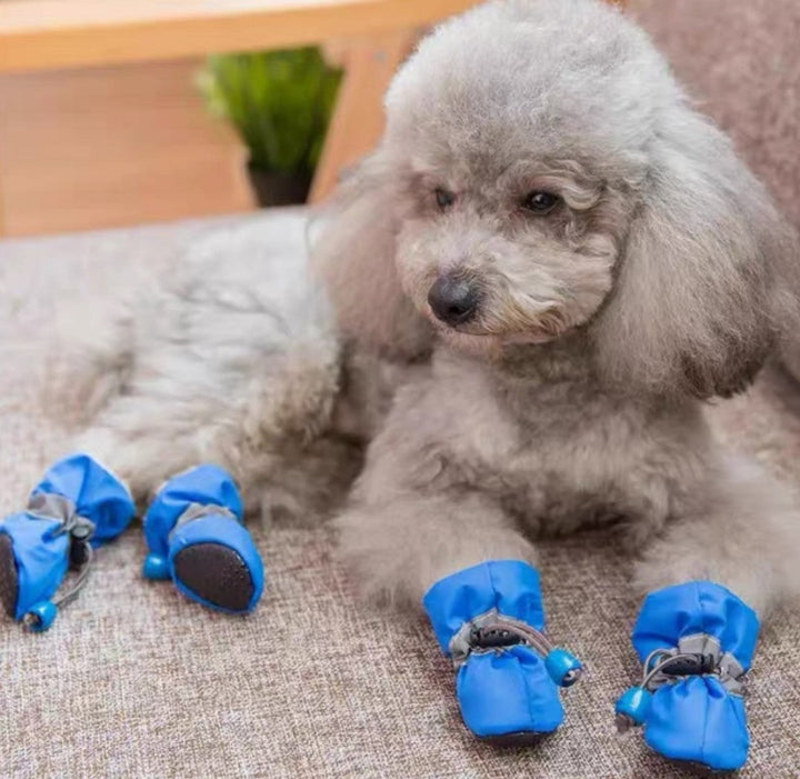 Botas Impermeables Multicolor # 4 | Accesorios | Marcapet