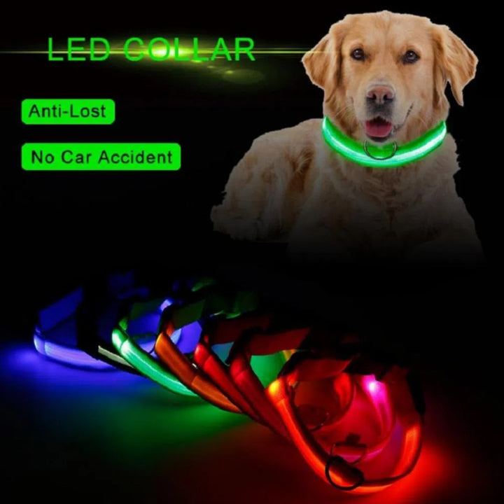 Collar Luz Led Talla M | Accesorios | Marcapet