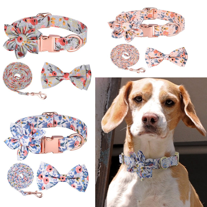 Set De Correa y Collar Con Moño o Flor Talla L | Accesorios | Marcapet