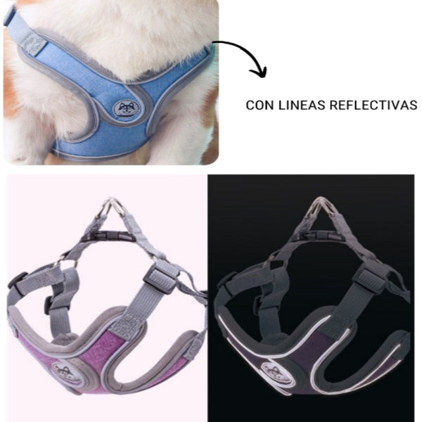 Pechera Con Correa Para Perro Azul Reflectiva | Accesorios | Marcapet