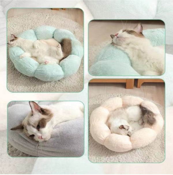 Cama Para Mascotas Dulce Flor Azul,Gris,Beige | Accesorios | Marcapet