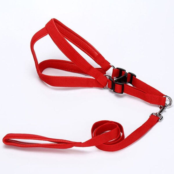 Correa Para Perro 1.5cm*1.2M Color Surtido | Accesorios | Marcapet