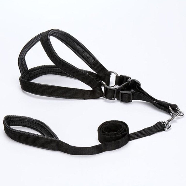 Correa Para Perro Grande 2.5cm*1.2M | Accesorios | Marcapet