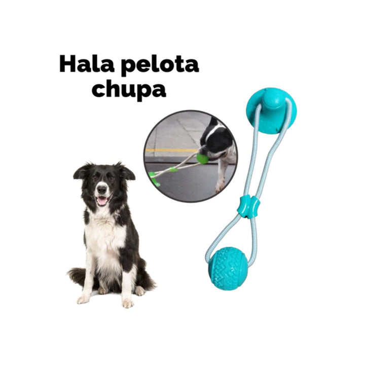 Lazo Para Perro Campana Con Pelota | Accesorios | Marcapet