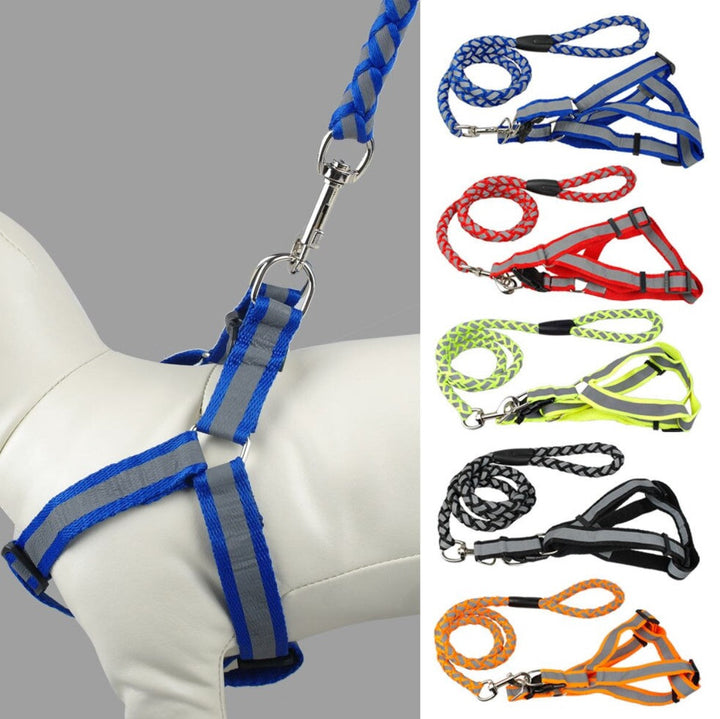 Correa Con Pechera Para Perro Grande | Accesorios | Marcapet