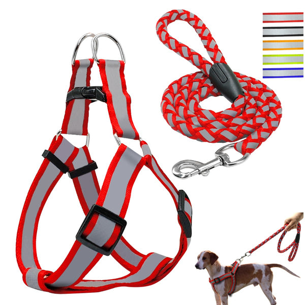 Correa Con Pechera Para Perro Razas Pequeñas y Grandes | Accesorios | Marcapet