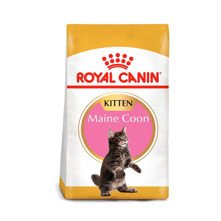 Alimento Para Gato  Royal Canin Maine Coon Kitten  |Marcapet