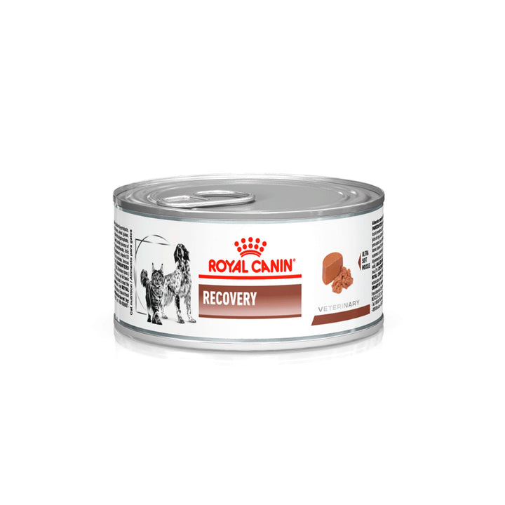 Alimento Húmedo Para Perro Royal Canin Recovery para perro y gato  |Marcapet